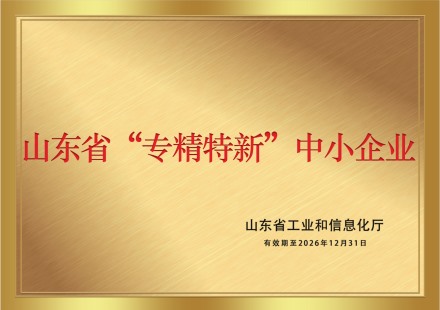 山東省“專(zhuān)精特新”中小企業(yè)